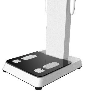 hot selling factory price for the Body Fat Scale